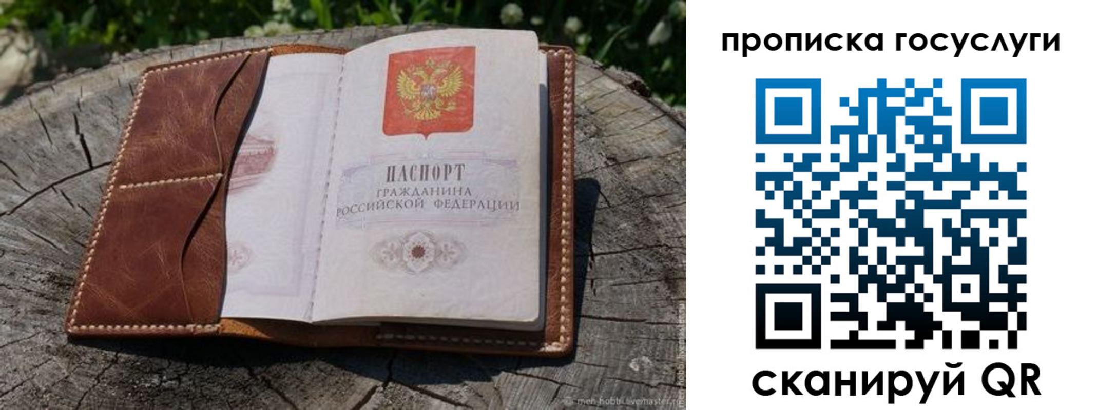 прописка для школы в Абинске